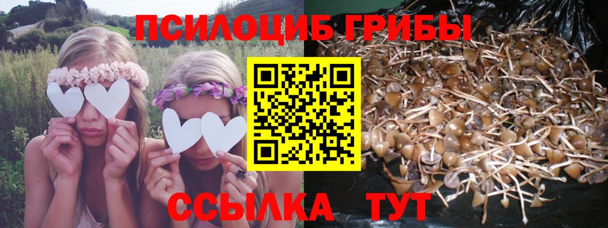 Псилоцибиновые грибы Cubensis  Вход с VPN  Красноуфимск 