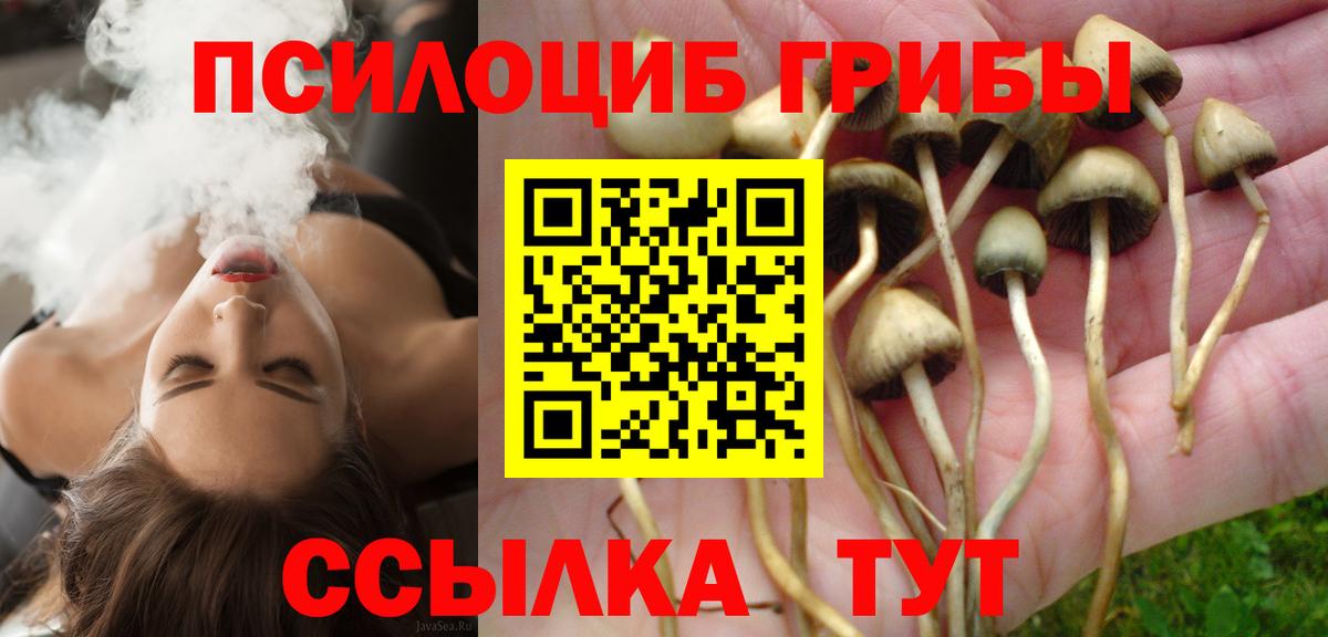 Галлюциногенные грибы Psilocybine cubensis Красноуфимск